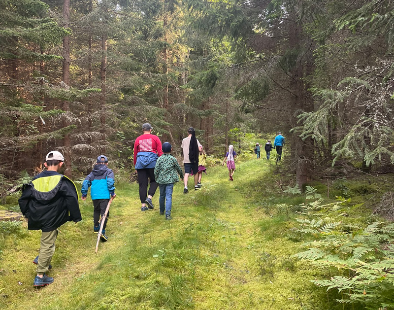 Eine gruppe kinder und Erwachsener gehen einen bewachsenen Feldweg entland