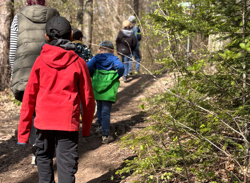 Waldspaziergang in einer Gruppe in der Sonne